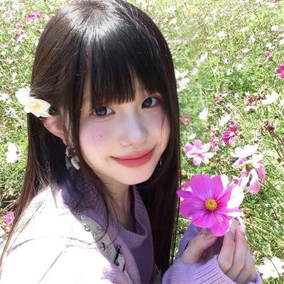 狮子护卫队第二季