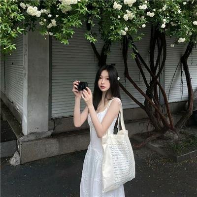 狐狸之声国语